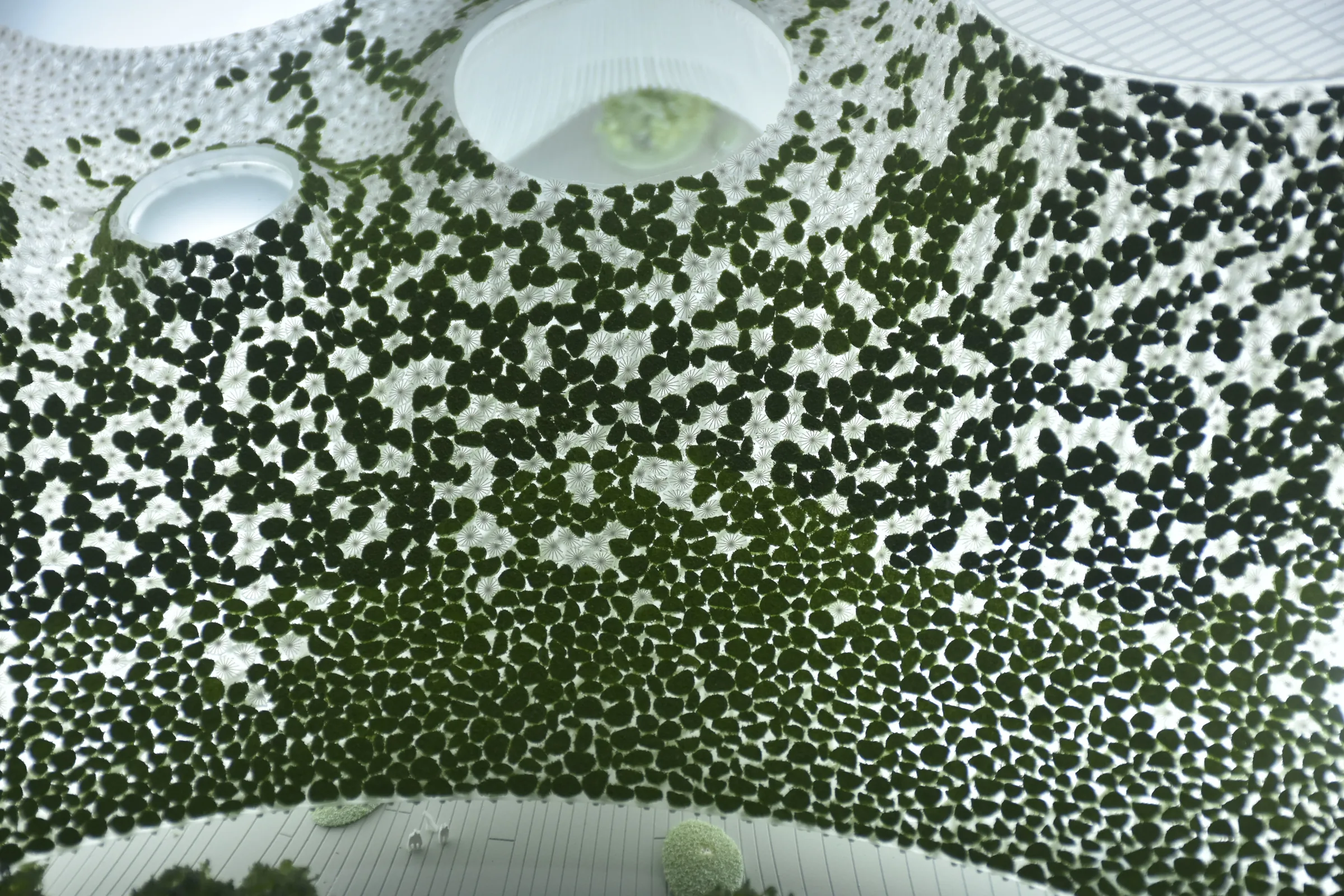 Kengo Kuma Shenzhen Ocean Pavilion 1:500 architectural scale model by JYD Models